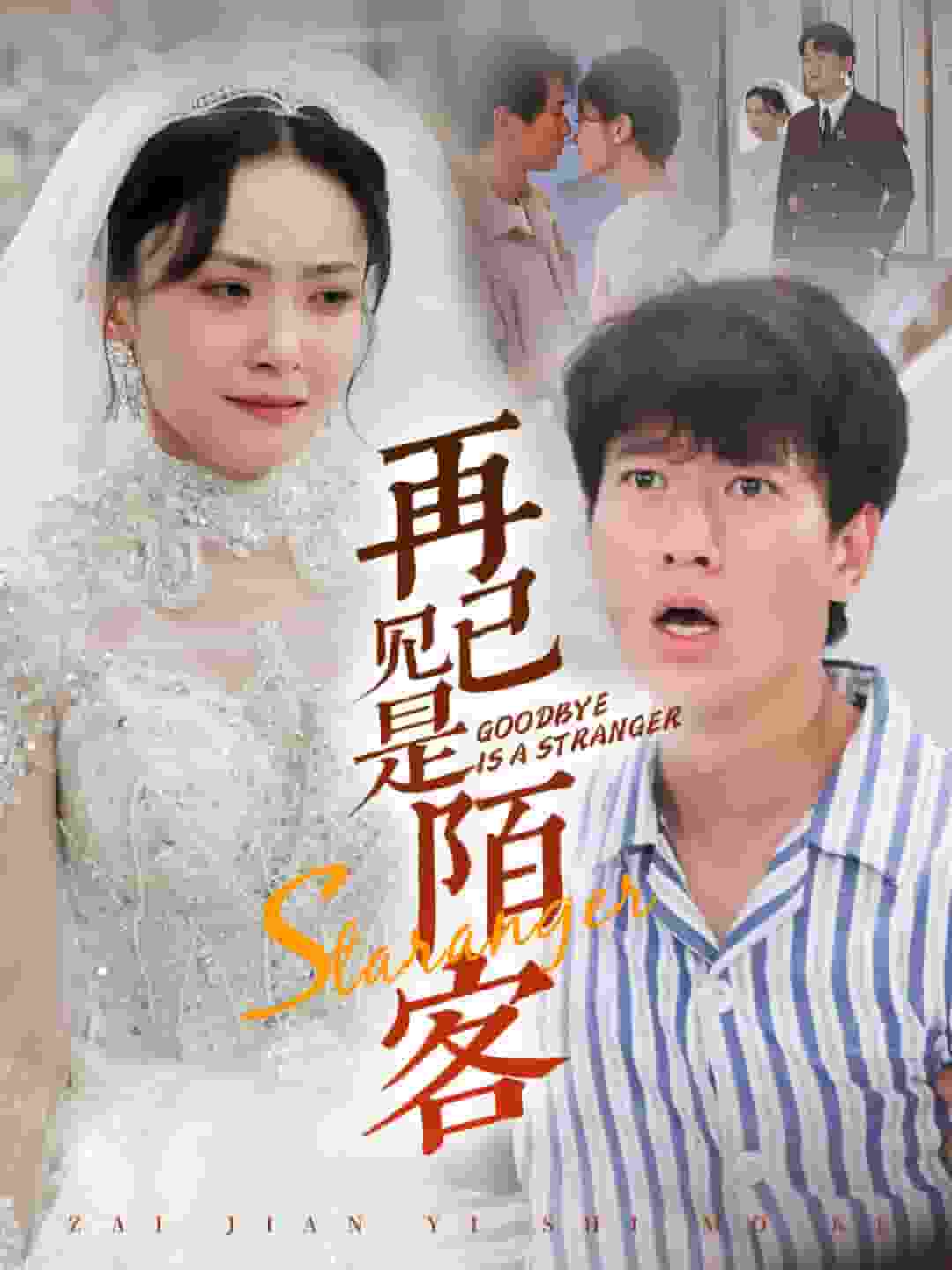 再见已是陌客第55集(大结局)