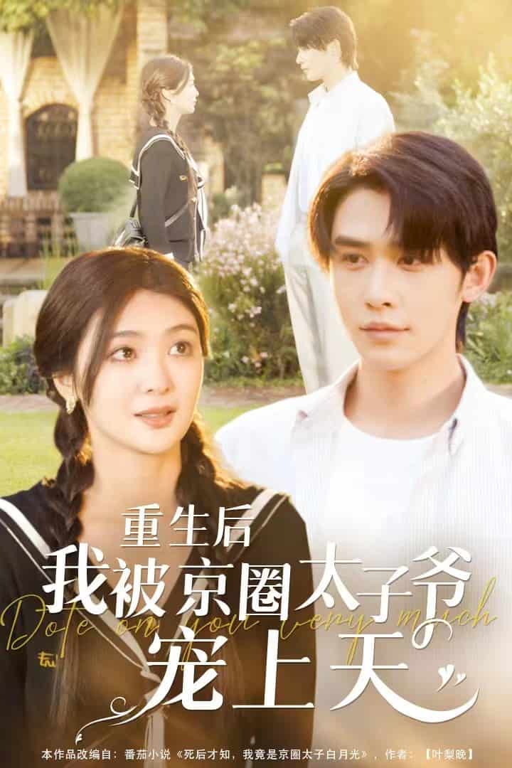 重生后我被京圈太子爷宠上天第56集