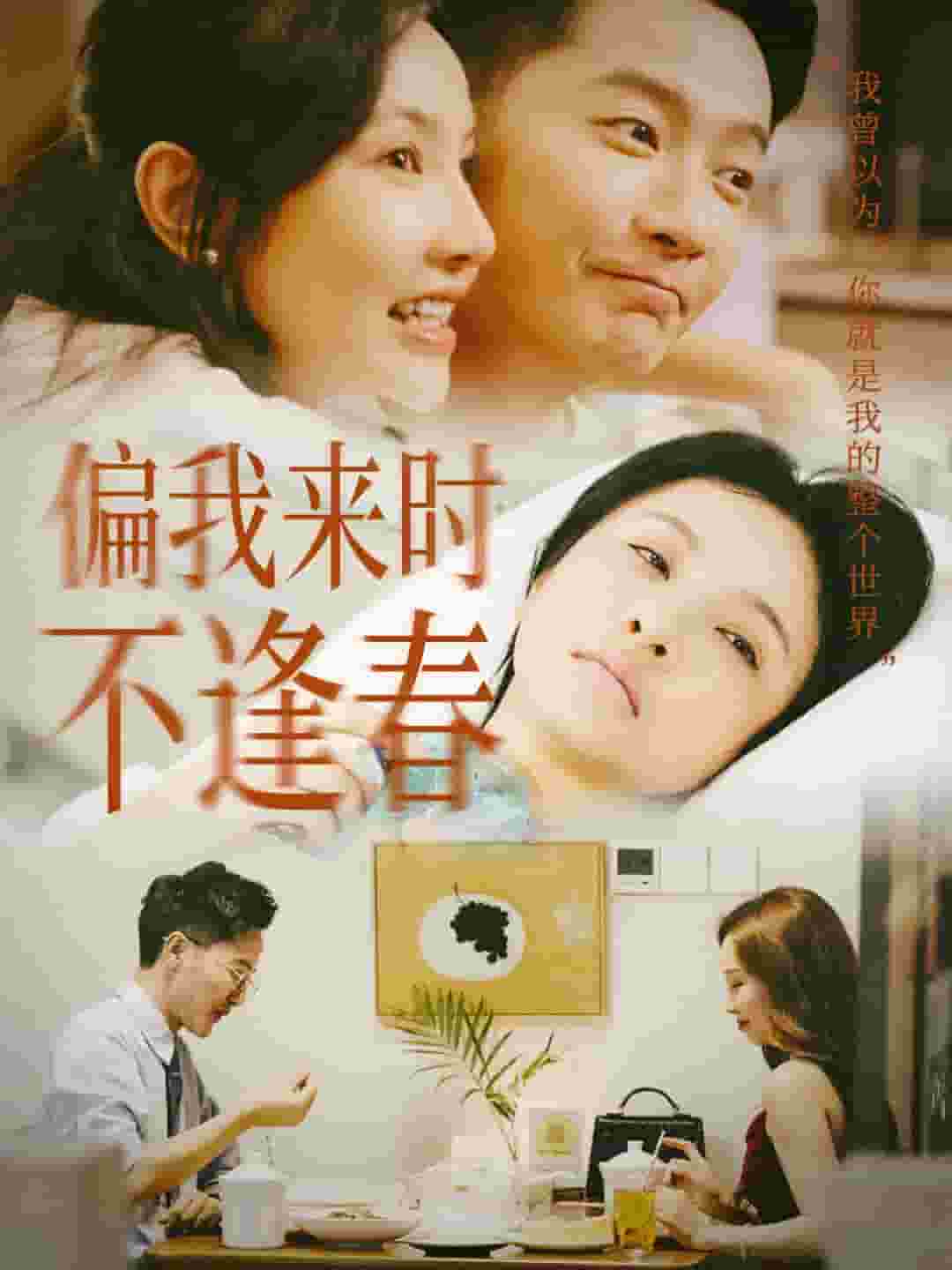 偏我来时不逢春第34集