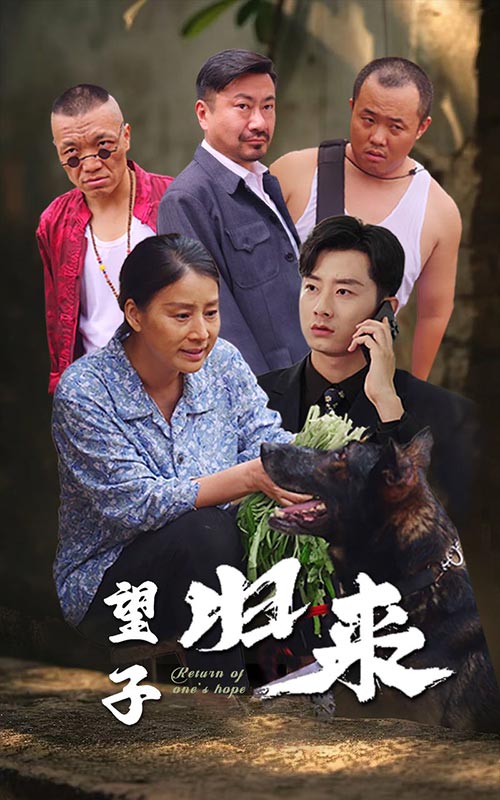 望子归来第03集