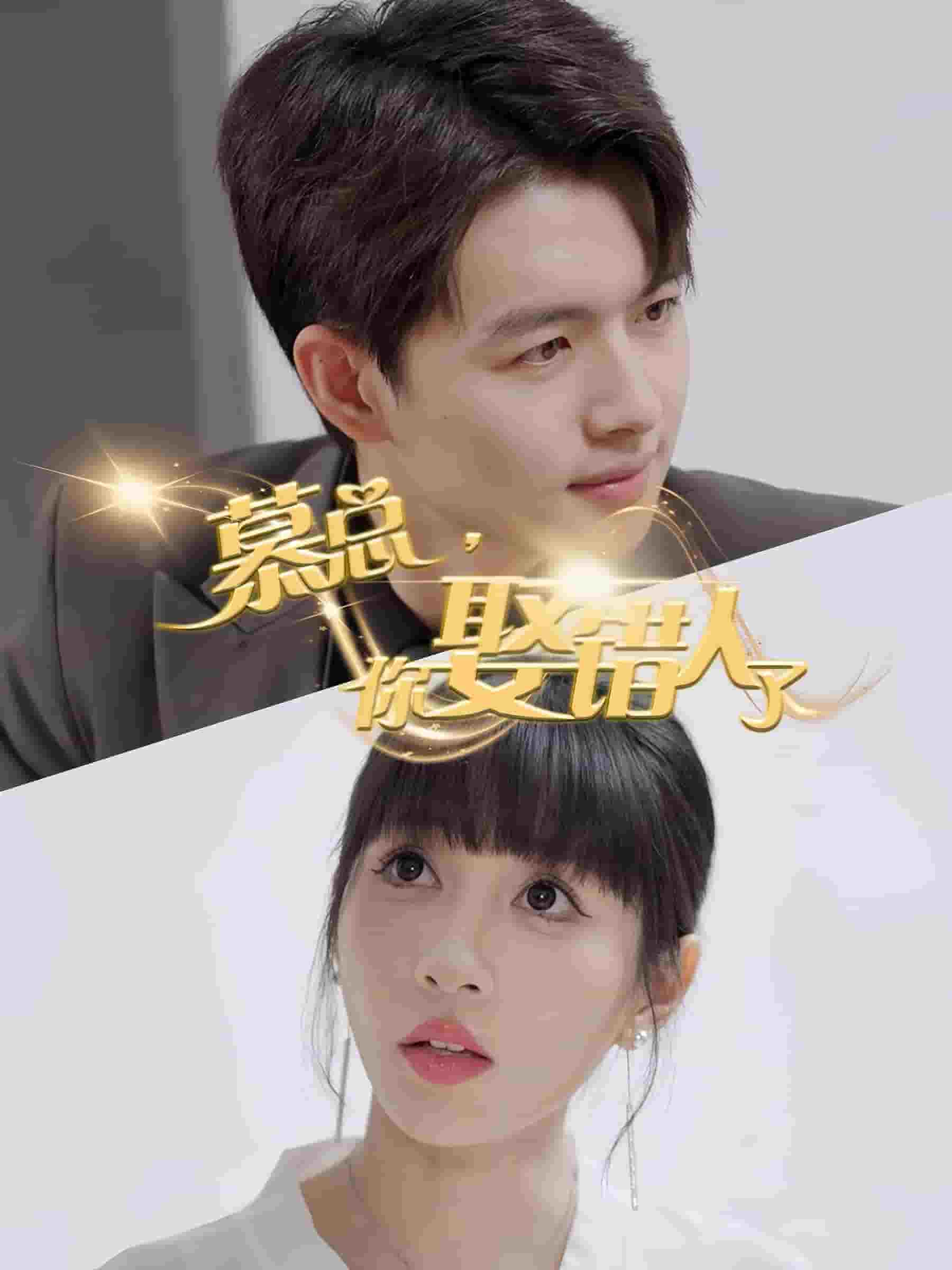 慕总你娶错人了全集(大结局)