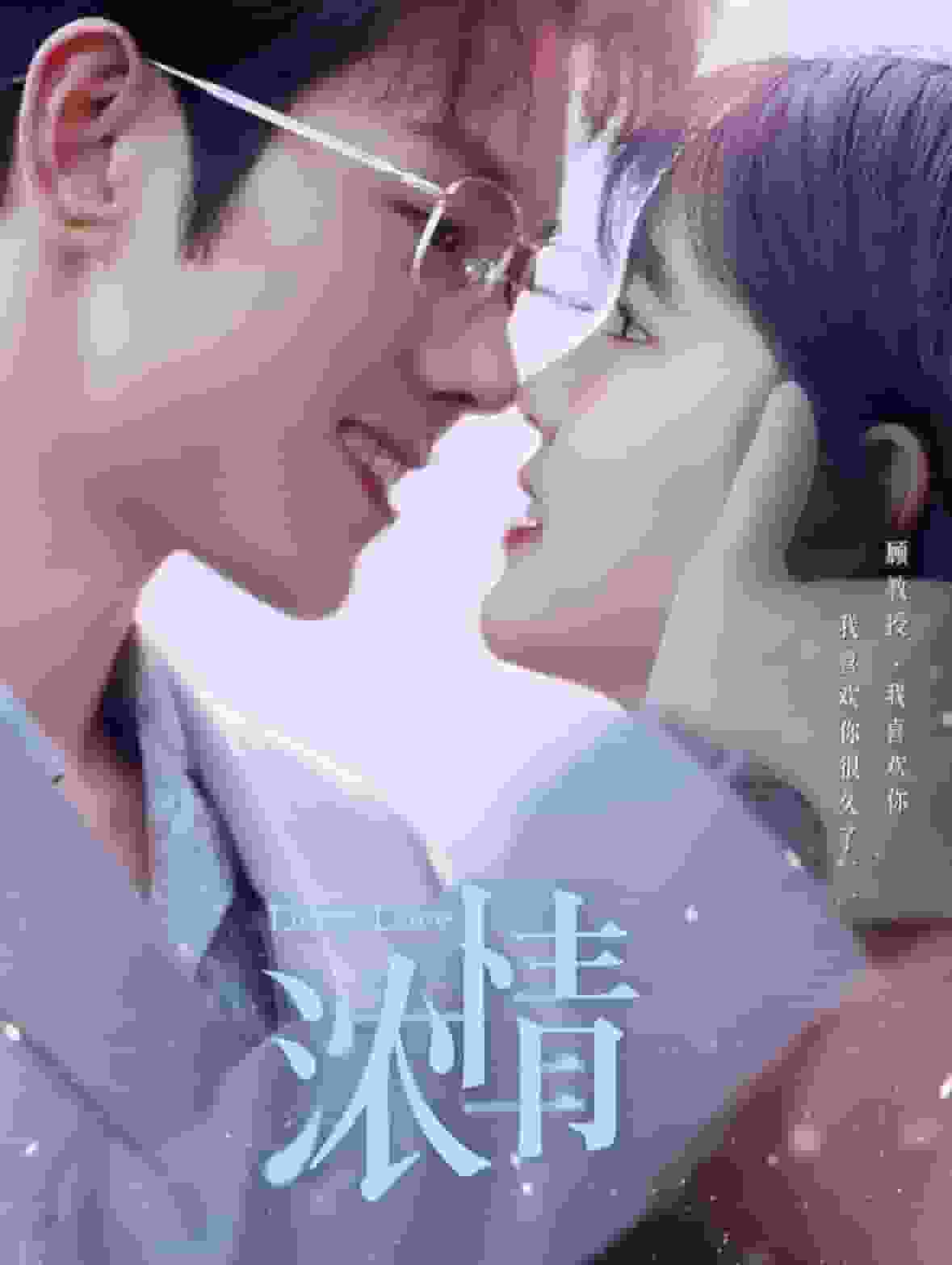 浓情第81集