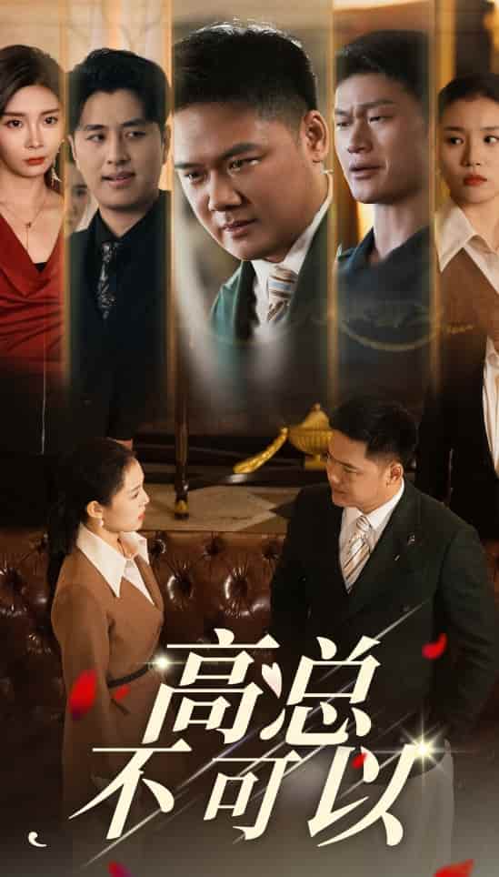 高总不可以第34集