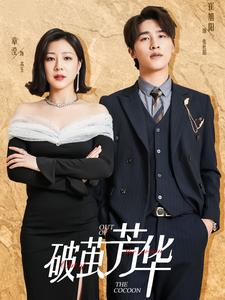 破茧芳华第04集