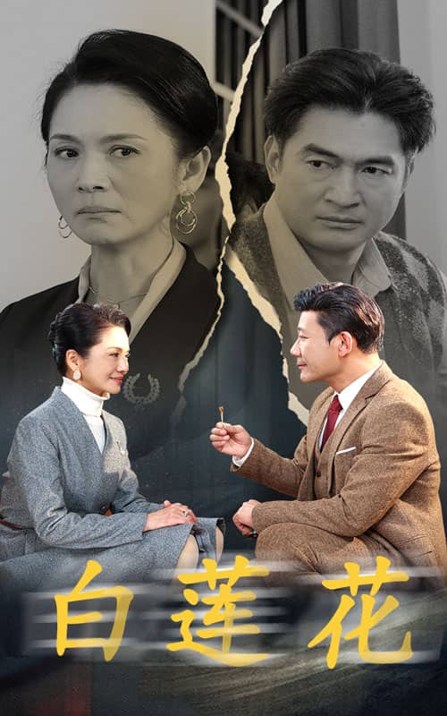 白莲花 短剧版第19集