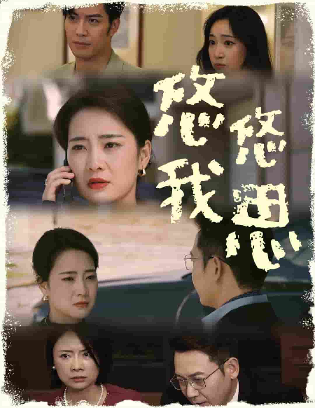 悠悠我思第23集