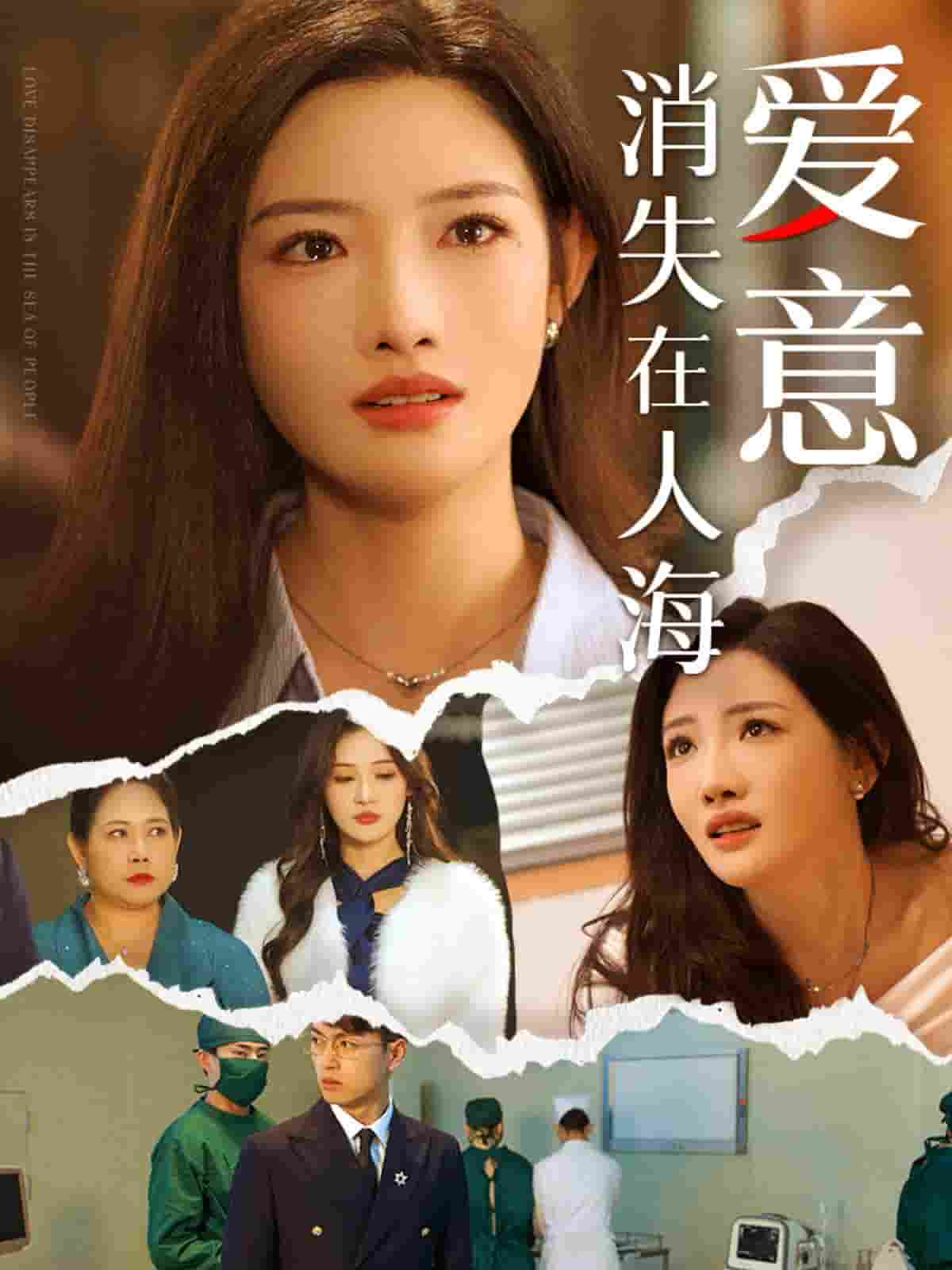 爱意消失在人海第05集