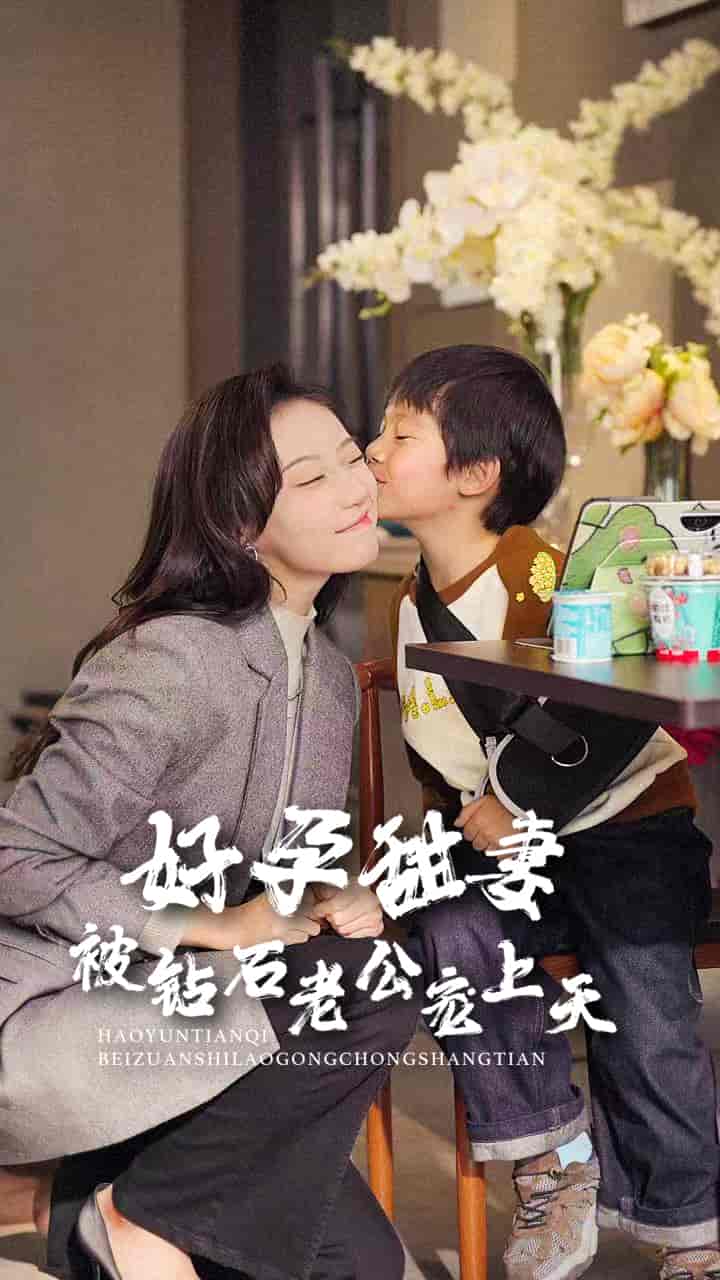 好孕甜妻被钻石老公宠上天第10集