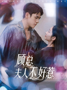顾总夫人不好惹第18集