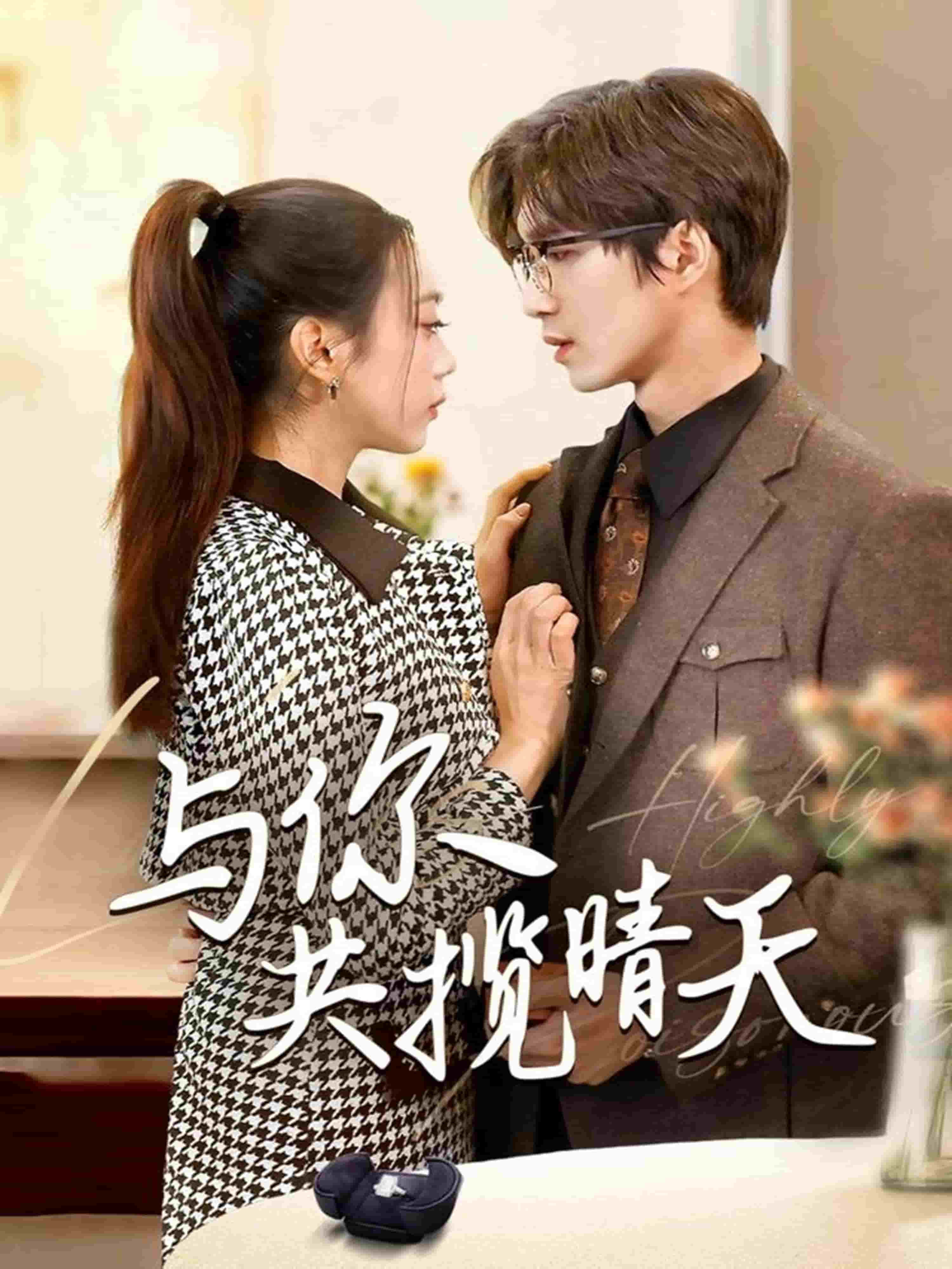 与你共揽晴天第29集