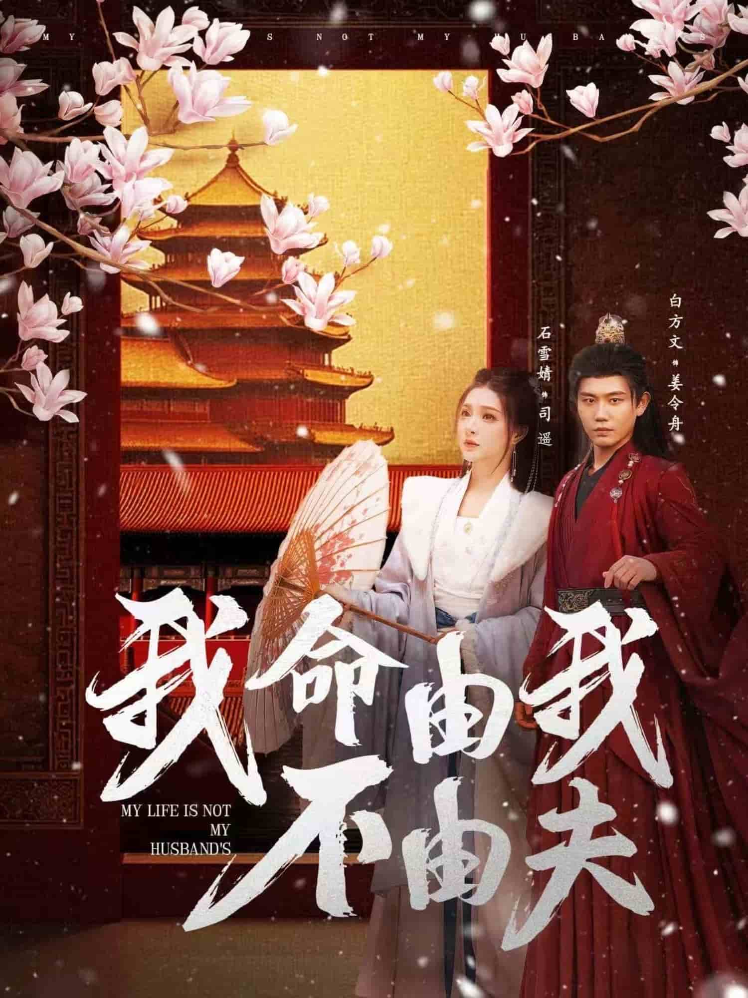 我命由我不由夫第71集
