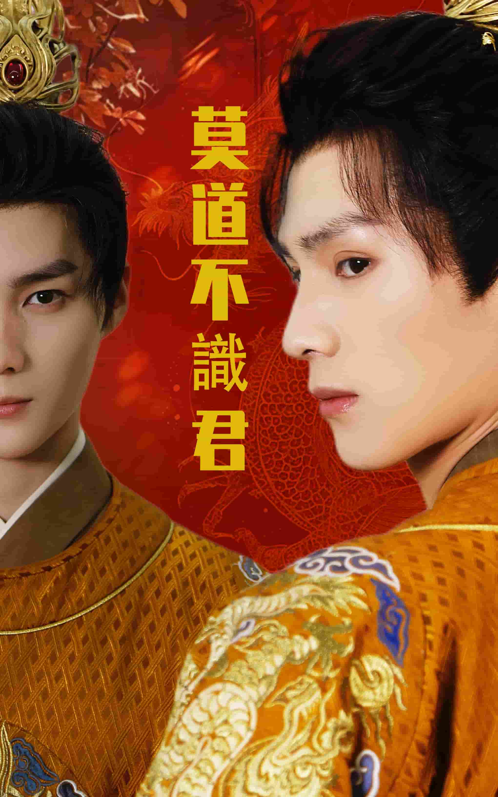 莫道不识君第53集