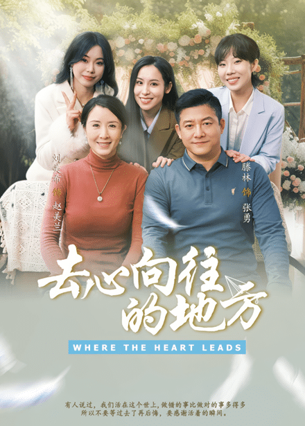 去心向往的地方第20集