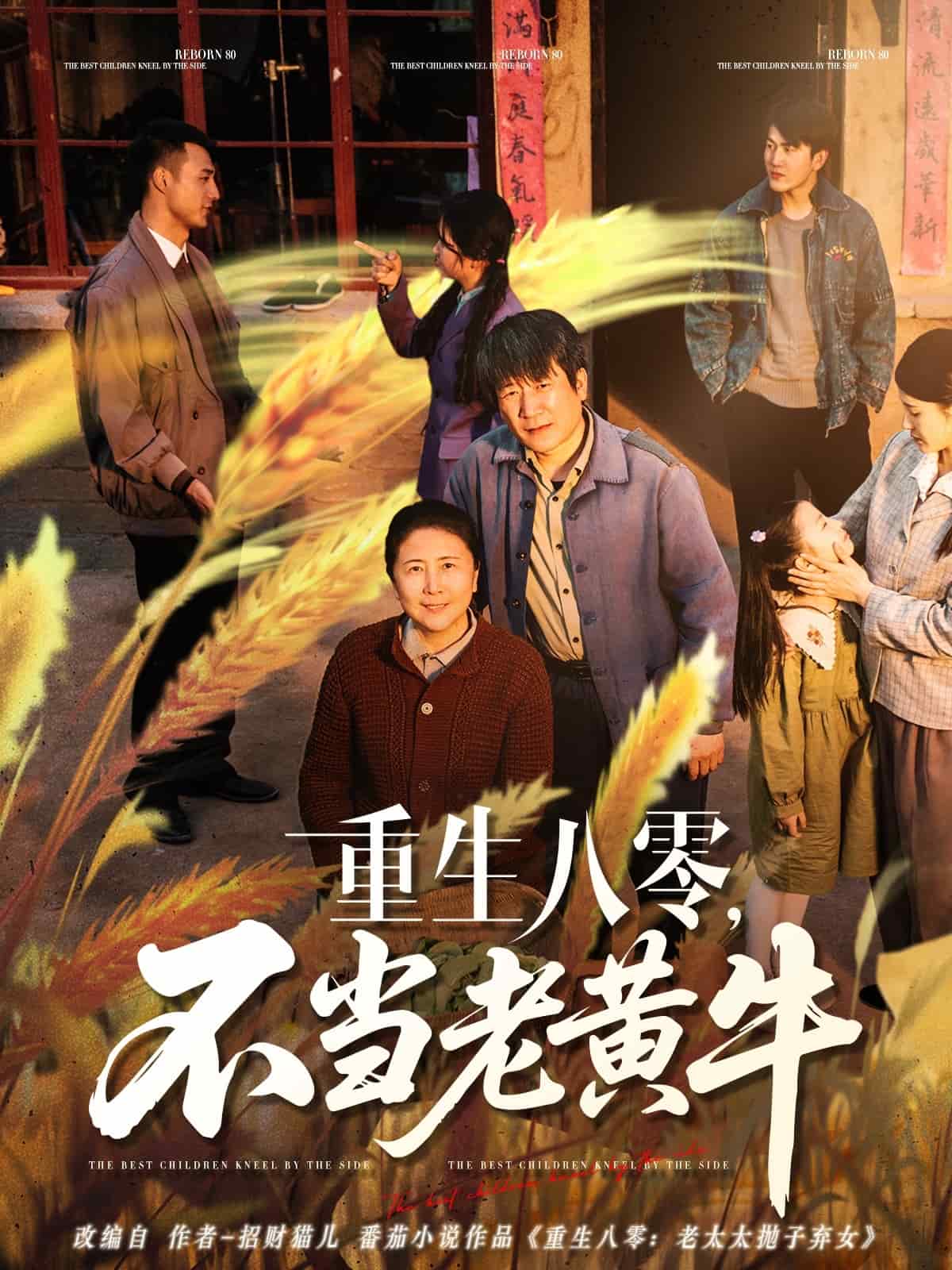 重生八零，不当老黄牛第55集