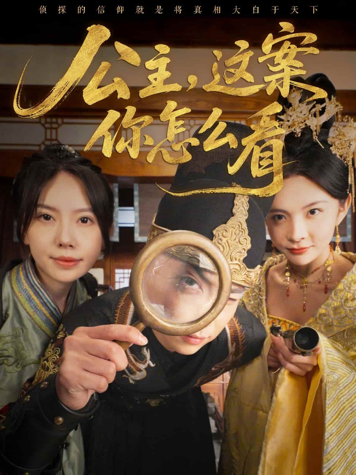 公主，这案你怎么看第47集
