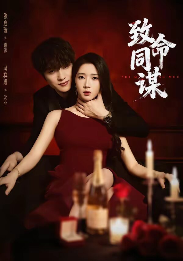 致命同谋第28集