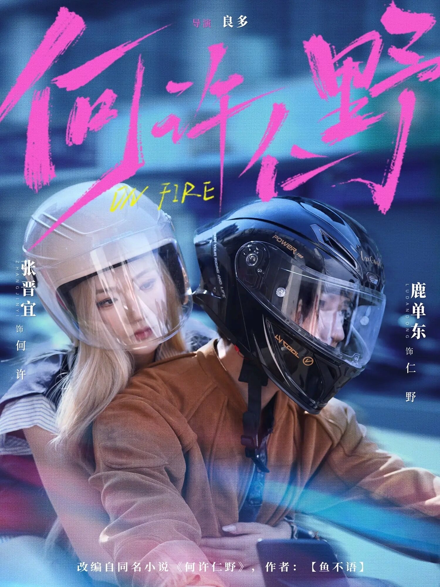 何许仁野第13集