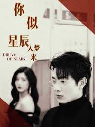 你似星辰入梦来全集 (上)