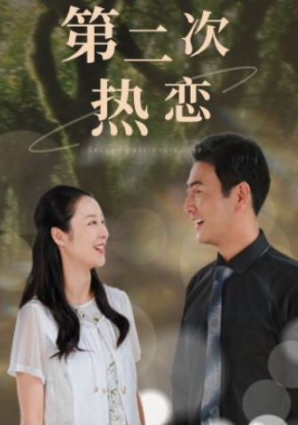 第二次热恋第19集