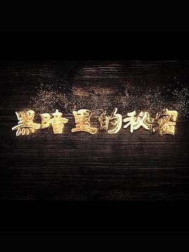 黑暗里的秘密第09集