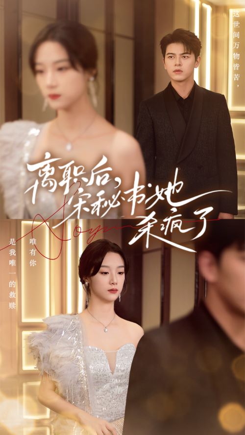 离职后，宋秘书她杀疯了第27集