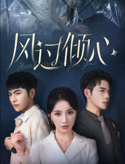 风过倾心第25集