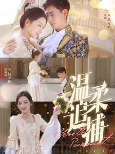 温柔追捕第27集