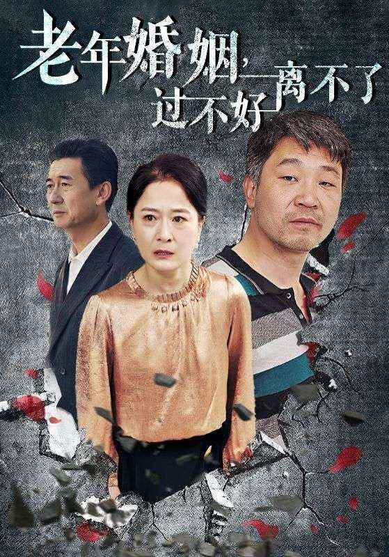 老年婚姻过不好离不了第45集