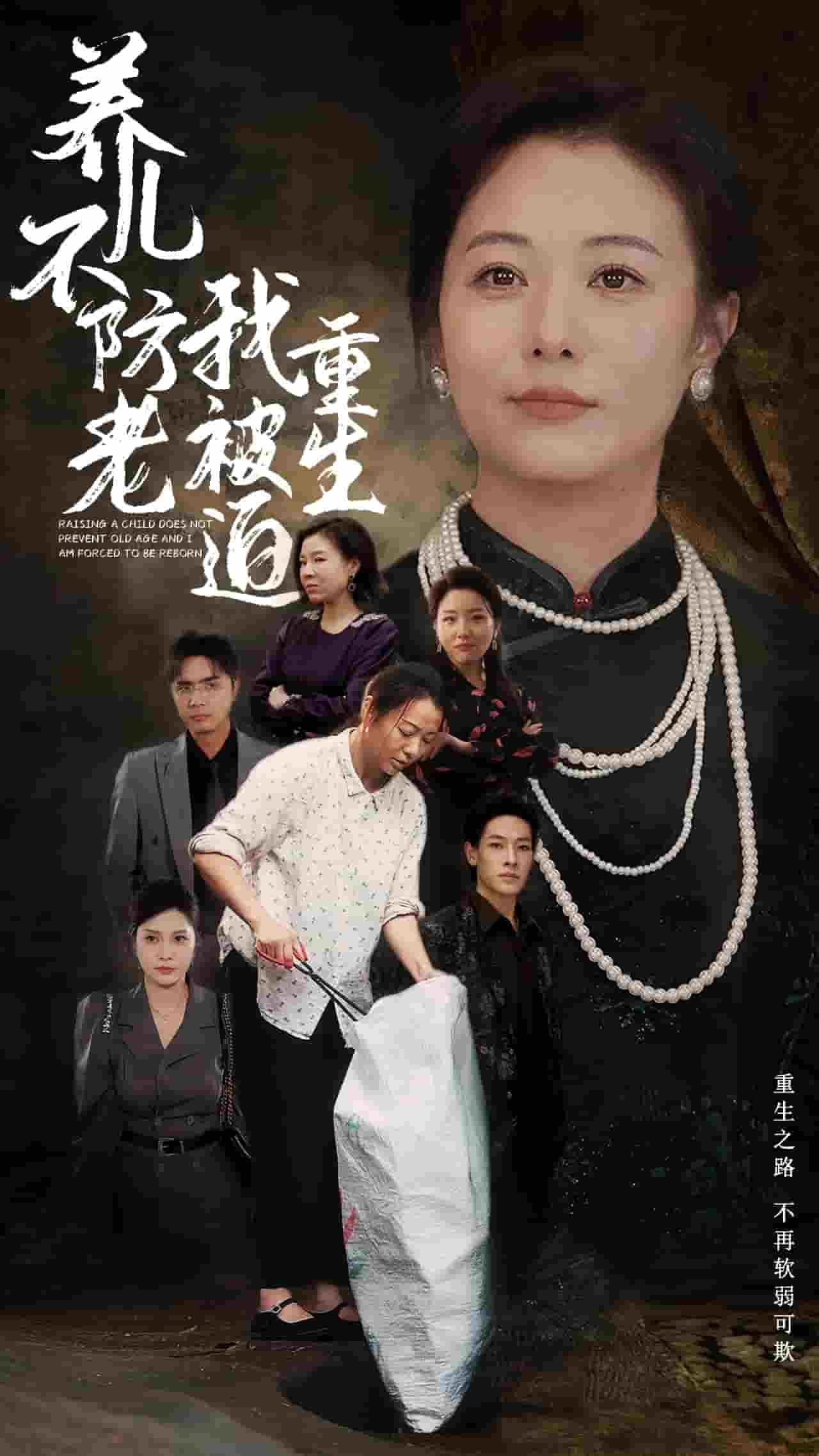 养儿不防老我被迫重生第10集