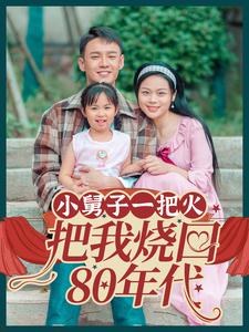 小舅子一把火把我烧回80年代第39集