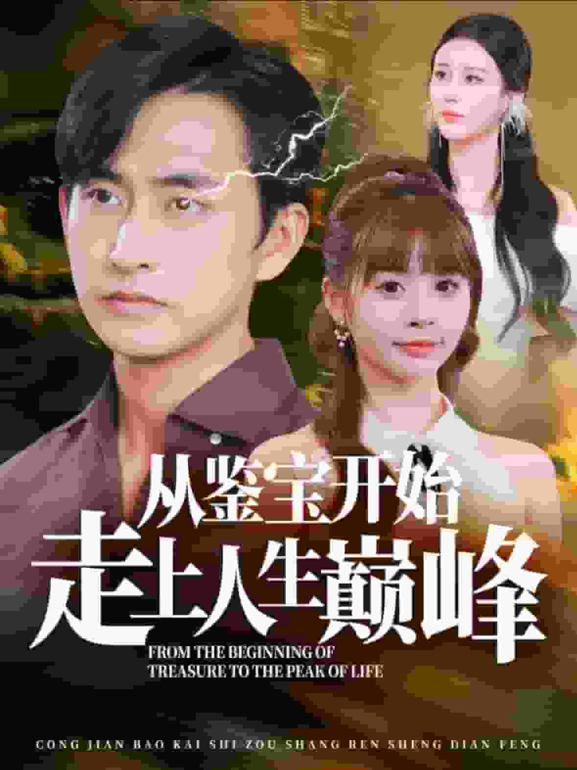 从鉴宝开始走上人生巅峰第01集