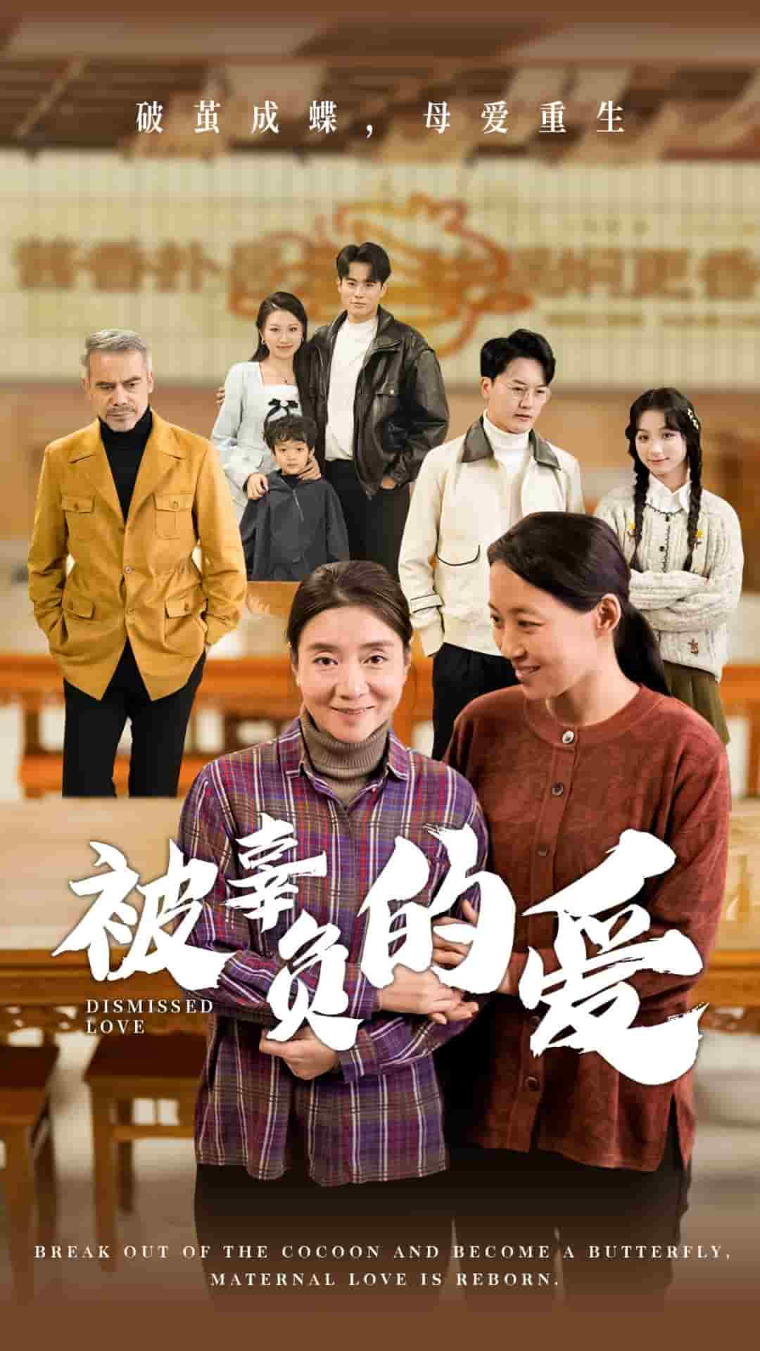 被辜负的爱第34集