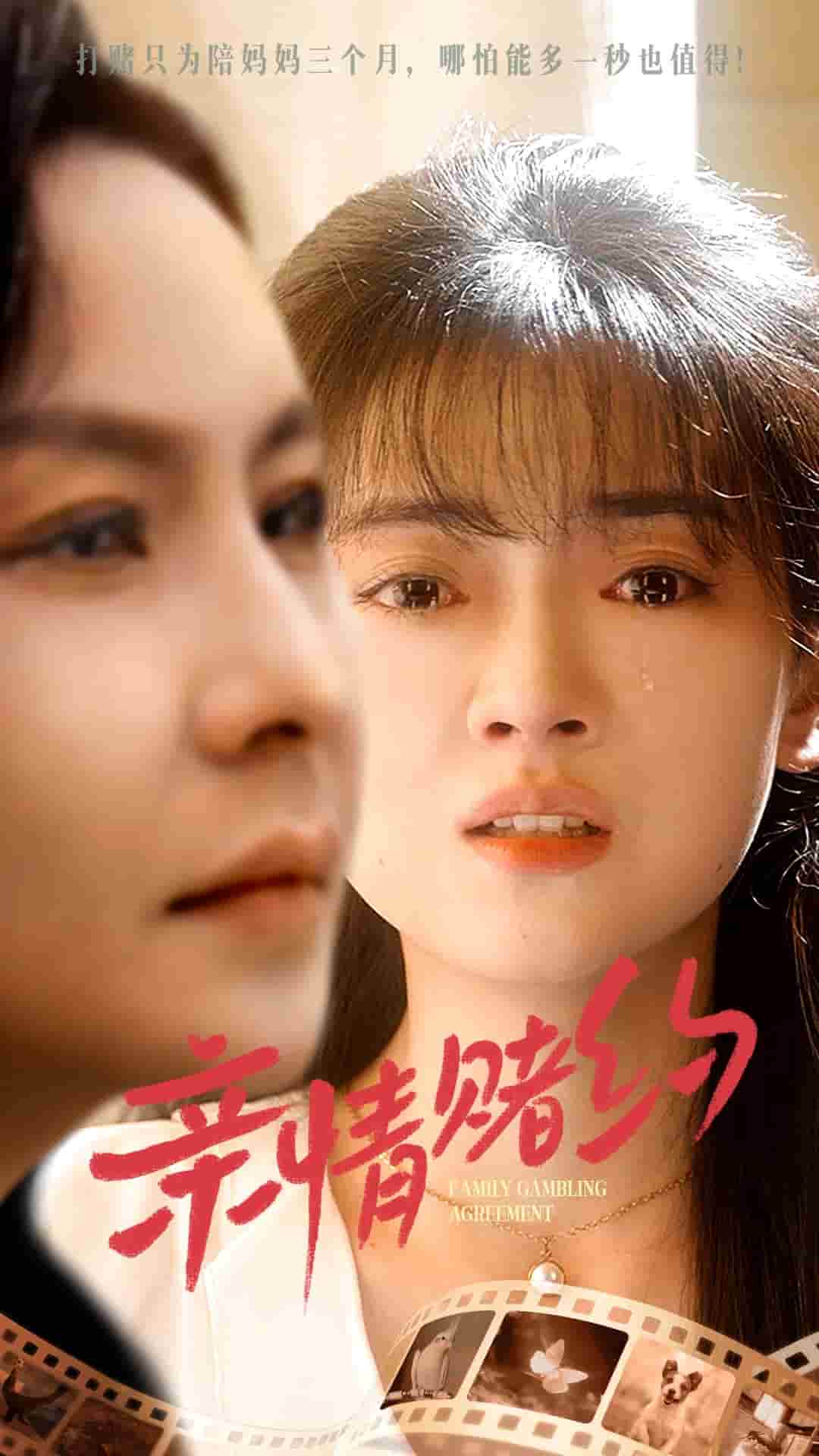 亲情赌约第39集