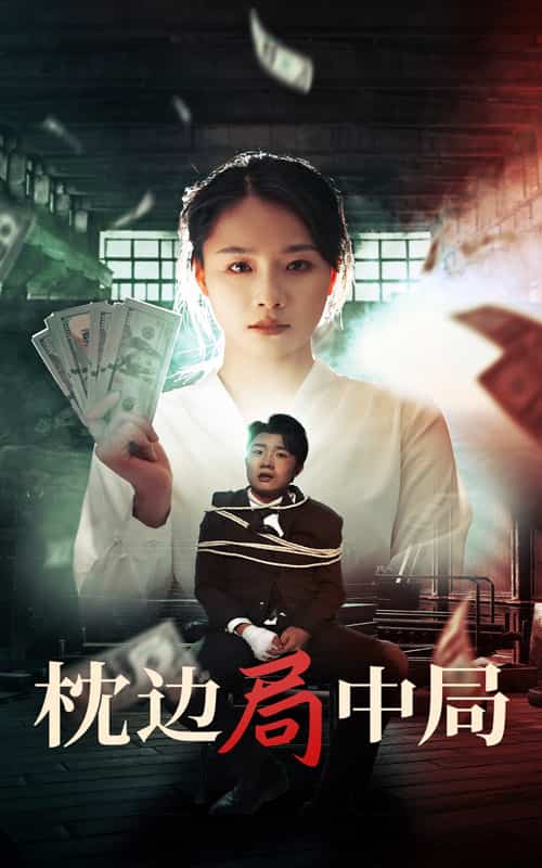 枕边局中局第19集