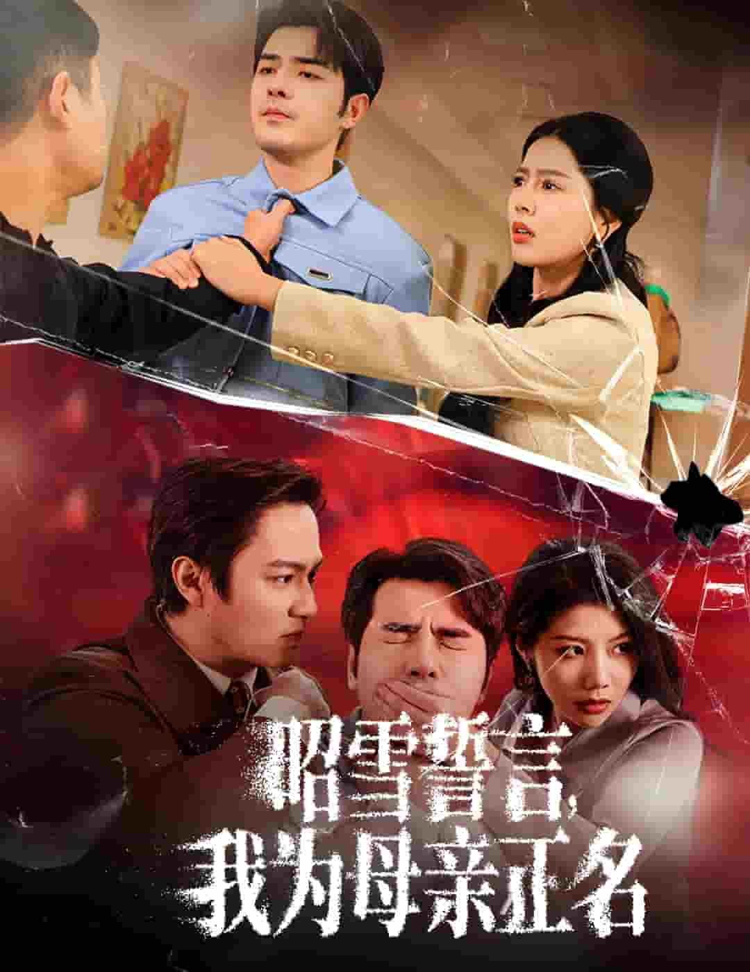 昭雪誓言我为母亲正名第10集