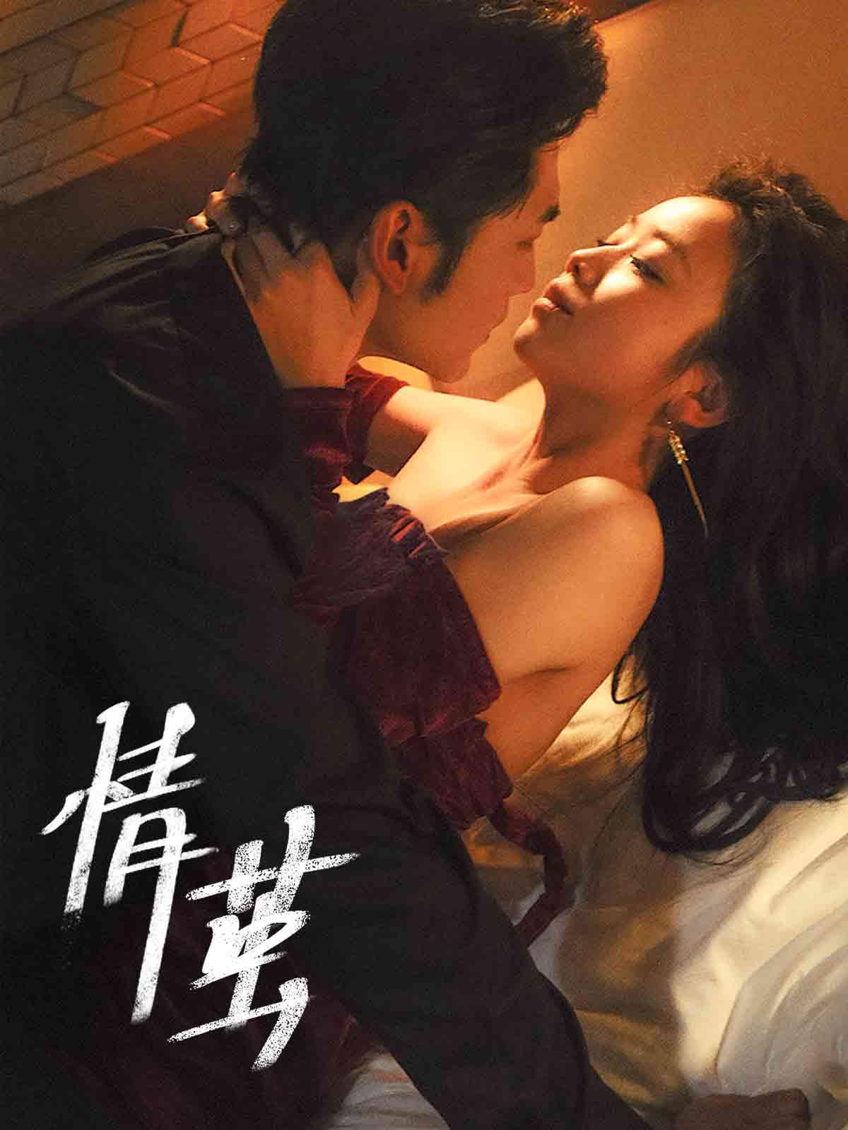 情茧第47集