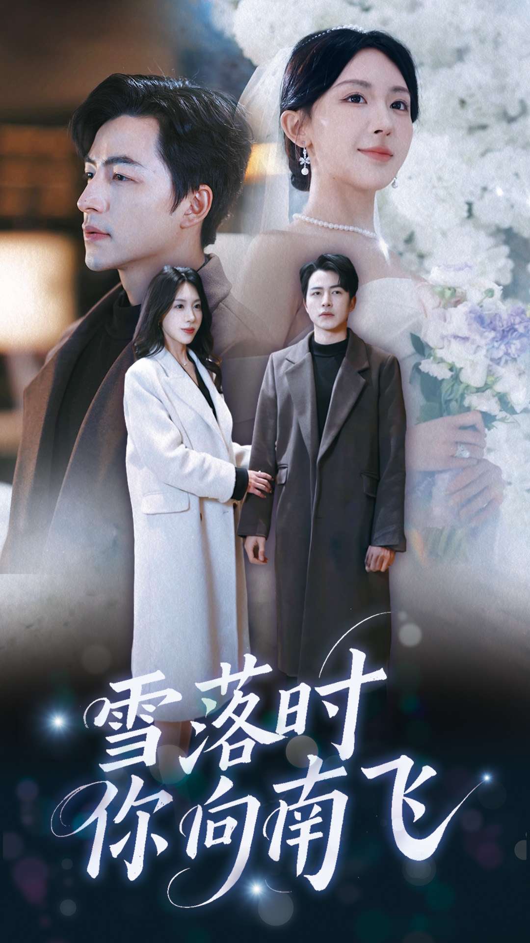 雪落时你向南飞第1集