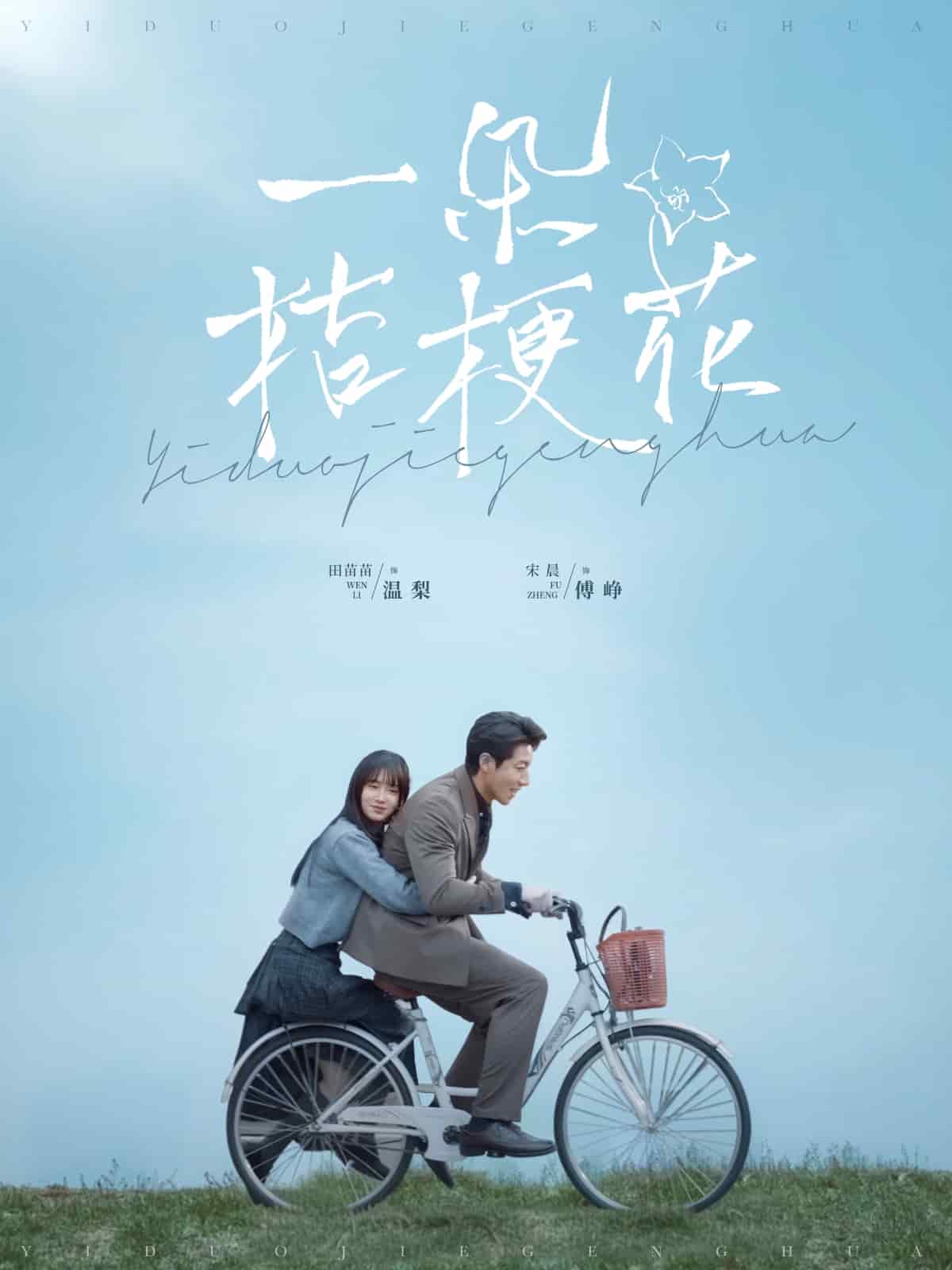 一朵桔梗花第39集
