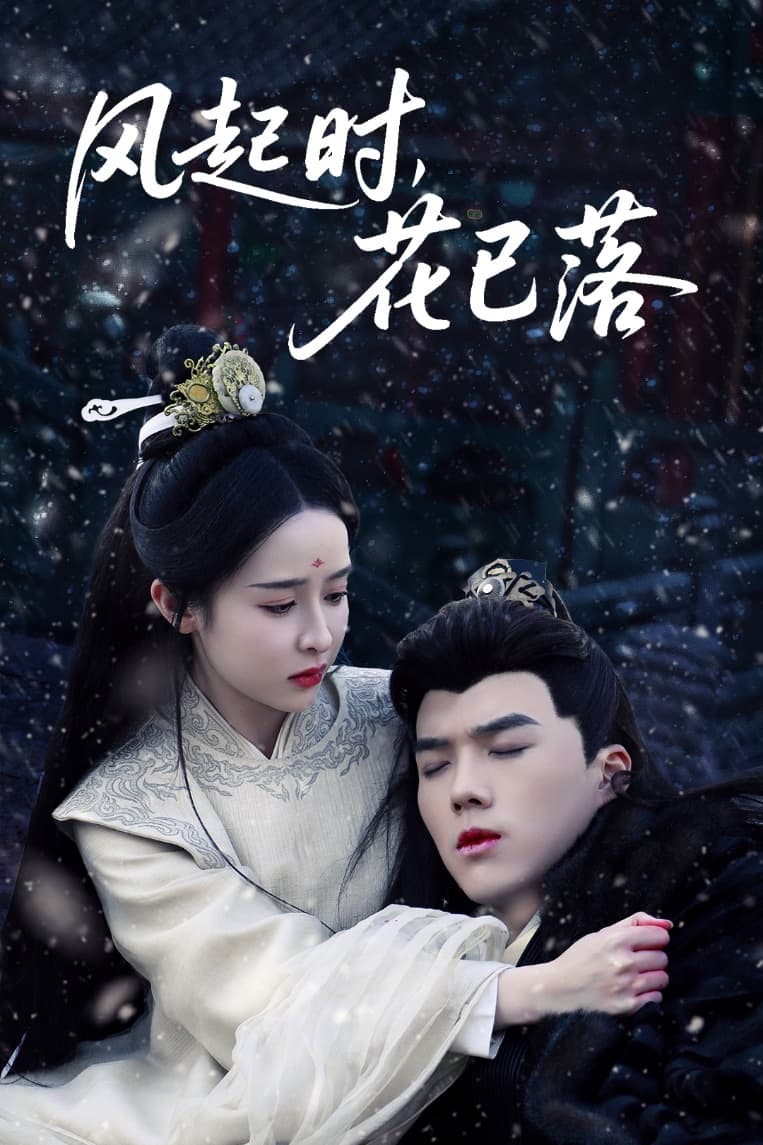 风起时，花已落第39集