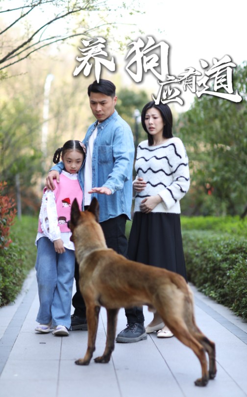 养狗应有道第41集