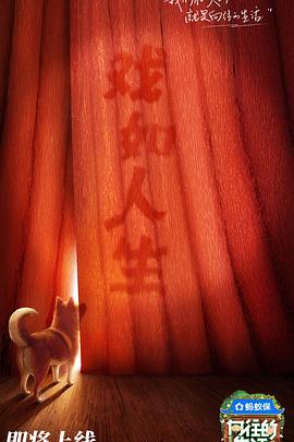 向往的生活第八季第20251011期