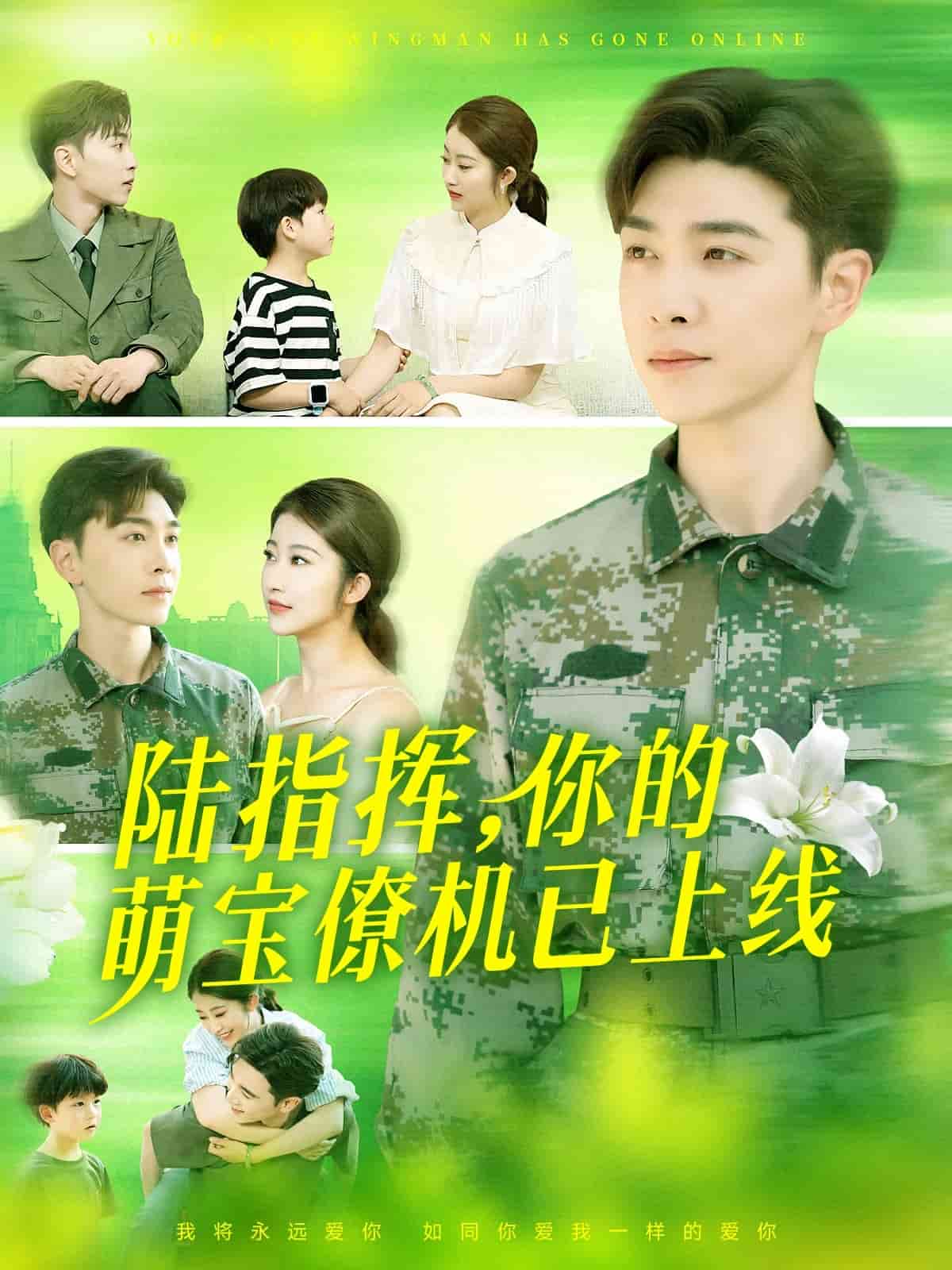 陆总你的萌宝已上线第001集