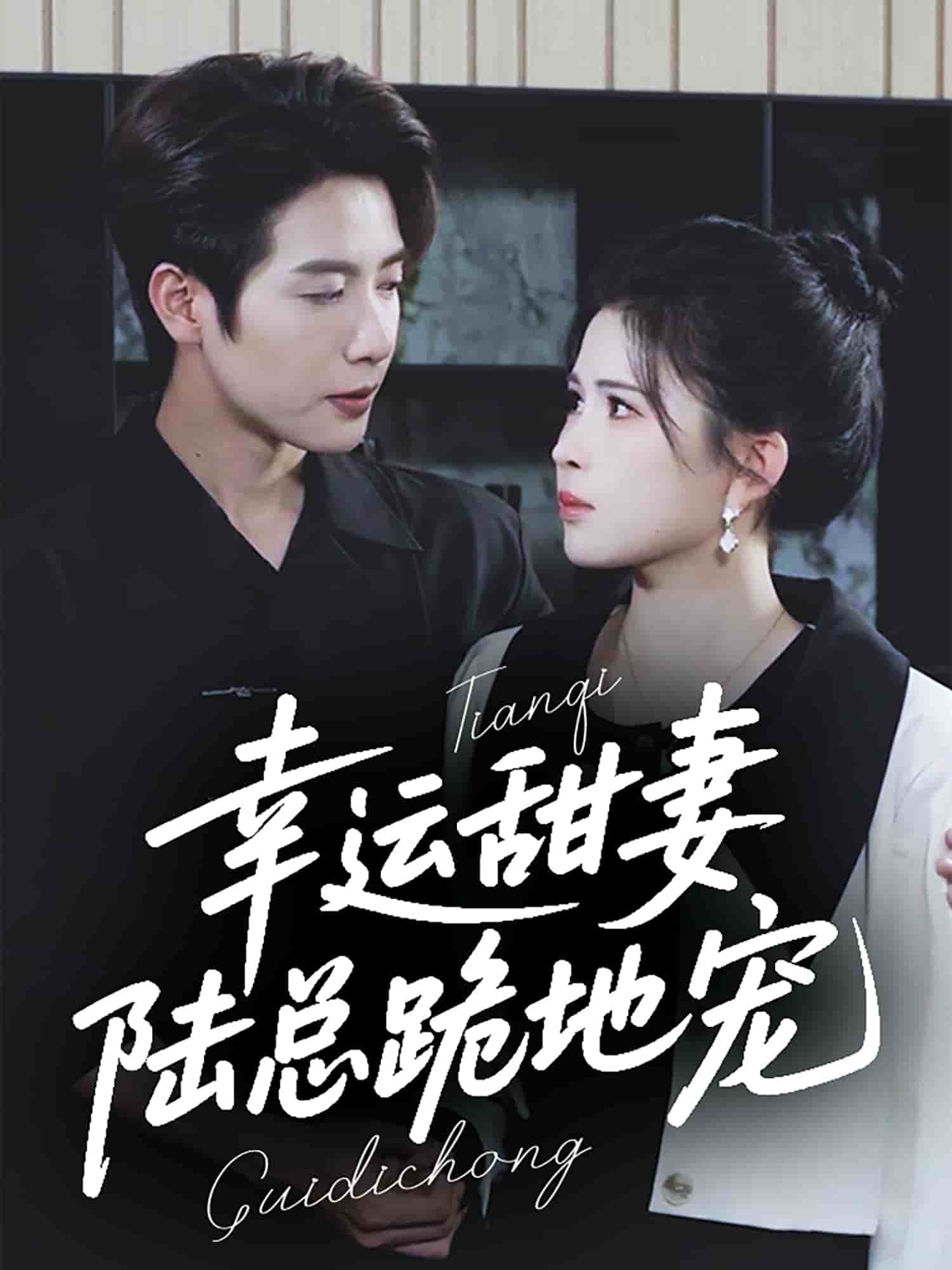幸运甜妻，陆总跪地宠第1集