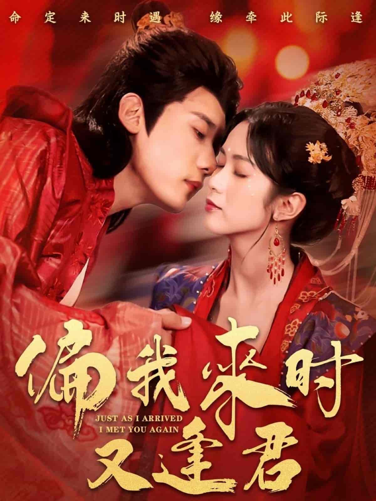 偏我来时又逢君第9集