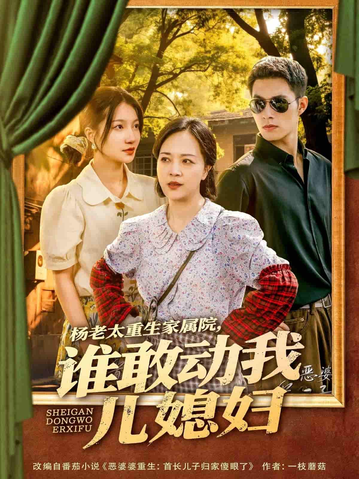 杨老太重生家属院，谁敢动我儿媳妇第07集