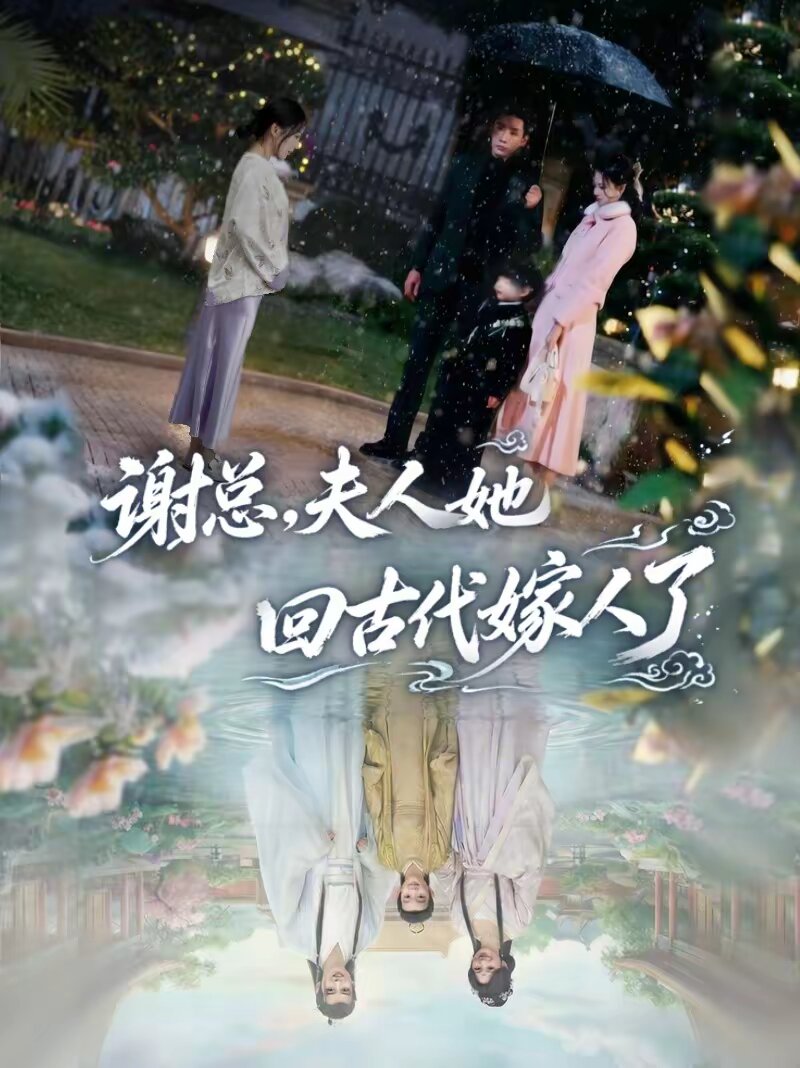 谢总，夫人她回古代嫁人了第09集