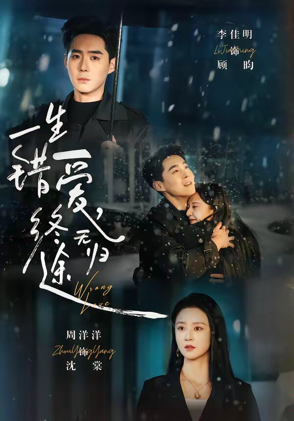 一生错爱，终无归途第24集