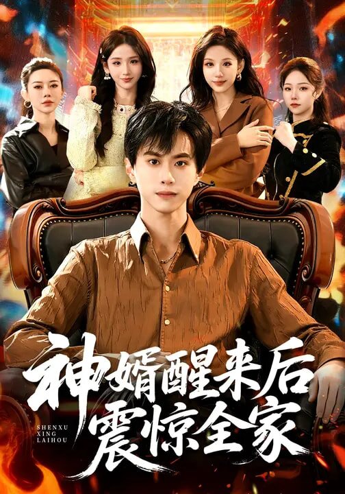 神婿醒来后震惊全家第20集
