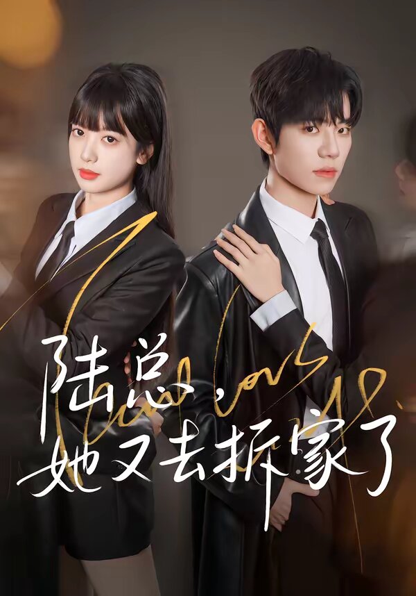 陆总，她又去拆家了第39集